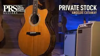 PRS Private Stock #9849 Angelus Cutaway - Exotic Ebony  |  Matt Chulka