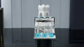 Maestro kit -Ideal for access refinement, Multifunctional Micro-Endodontics Ultrasonics Kit