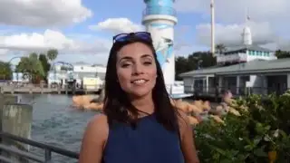 Expert Tips on Visiting SeaWorld Orlando