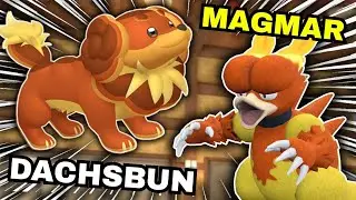Команда Dachsbun SUN! Рег. H Pokemon VGC Competitive Doubles Wi-Fi Battle