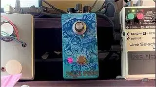 Bazz Fuss demo