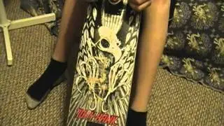 Birdhouse Skateboard Overview