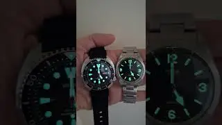 seiko lumibrite vs  tudor super luminova!