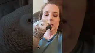 His superhero name would be The Interruptor 🦜