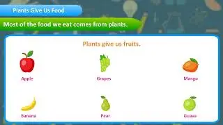 Food from Plants || Chapter-3 || Science-1|| Class-1