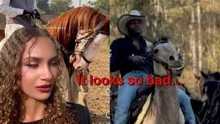 Natural horsemanship trainer reacts to CONCERNING horse content 