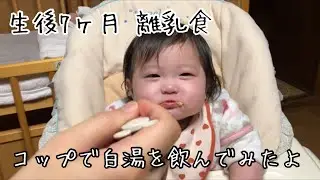 生後7ヶ月 離乳食 ごはんはあまり進まなかったけど、最後にコップで白湯を飲んでみたら意外と上手に飲めました。