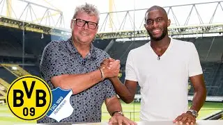 Modeste: 