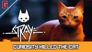 Stray - Curiosity Killed the Cat Trophy 🏆 / Achievement Guide