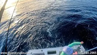 Marlin Tuna Dorado Sports Fishing Cabo San Lucas Fishing