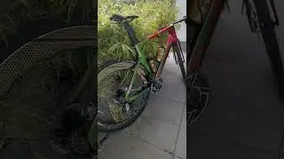 Elves Falath Evo 2025 custom race bike/ SRAM Red AXS