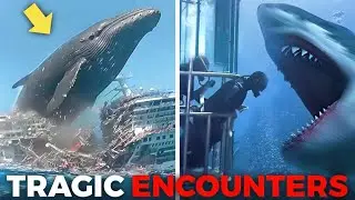 One Wrong Move: Real Animal Encounters That Turned Peaceful Moments Into Pure Terror
