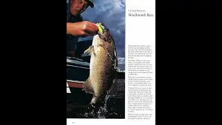Smallmouth Bass, while fishing Lac Seul really fight....fun to catch and release