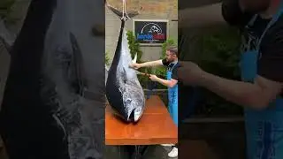 Six most costly animals #3danimation #facts #3d #animals #aivideo #3dshorts #nature #aishorts