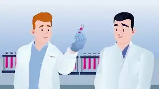 The RheinCell approach to immune compatible iPSCs