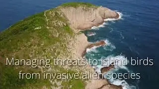 Bird Conservation International Centenary video