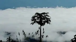 Comlock the Real Sajek Valley 2200 Feet Up