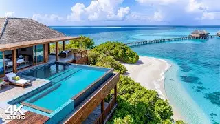 Maldives Beach Villa Ambience with Smooth Bossa Nova Jazz & Soft Waves Sound for Relaxation, Focus