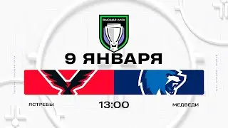Ястребы - Медведи | 09.01.2026 | Высшая лига | Прямая трансляция