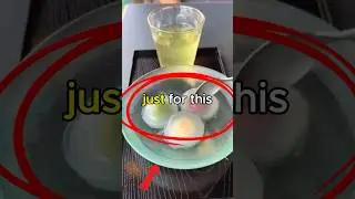 Traveling to JAPAN just for unique dessert #shorts #animation #japan #funny #food #travel