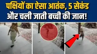 Cassowary Attack | पक्षियों का ऐसा आतंक, 5 सेकंड और चली जाती बच्ची की जान! Caught on Camera
