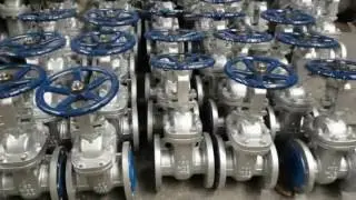 Sinopival Rising stem gate valve clip