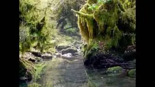 Stunning Location Apartment for rent Bagneres-de-Bigorre area