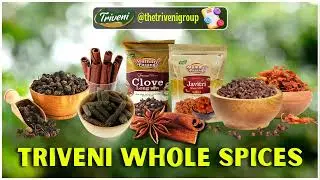 TRIVENI GROUP WHOLE SPICES CORPORATE AD | www.trivenigroup.in | KHADA MASALA SUPPLIER IN INDIA​