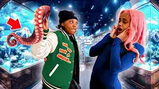 THROWING A LIVE OCTOPUS ON SUNSHINE! ( I THINK IM SINGLE )