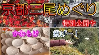 いち早く京都の紅葉を楽しめる！三尾めぐり🍁