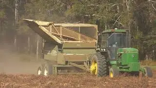 Tractors harvesting peanuts in Florida, October 2019.