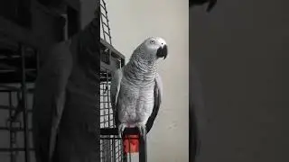 мама хулиганка! а Кирочка красивца друг...