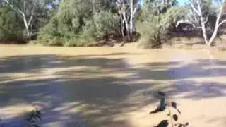 barcoo river camp