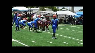 IBIS WEST PALM BEACH 10U FULL GAME #gameone