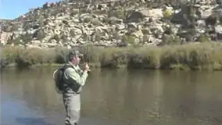 Fly Fishing The San Juan River, NM - High Country Fishing Charters