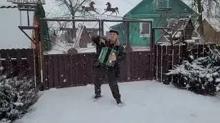Думала - Уже Не Услышу Эту Песню!Под окном моим сохнет деревце!!