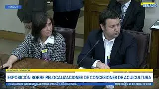 Exigencias productivas de industria salmonera debe satisfacer normas locales como internacionales