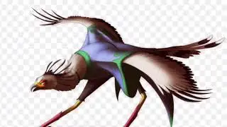 Bird style Kung fu/birds theme