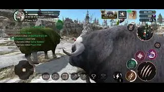 Killing Muskox Champion