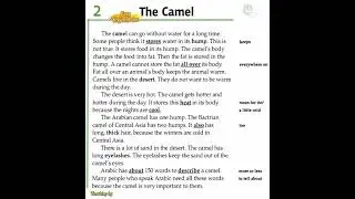 Unit: Lesson 2: The Camel (Facts & Figures) 