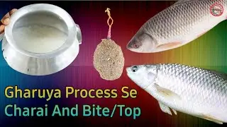 Gharuya Process Se Rohu  Mrigel Machli aka Charai And Bite Har Masham ke liye ✅️