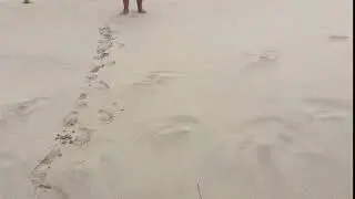 Salmon Kate