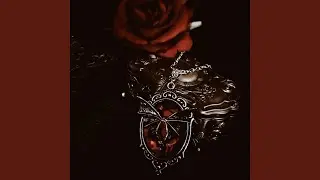 VAMP RXSES