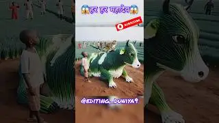 ▶️🙏har har mahadev🙏 ‼️CWO TRENDING‼️ #shorts #ytshorts #cwo #monkey #trending #flyxo #viral