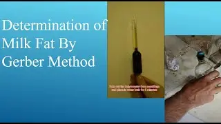 Determination of Milk Fat by Volumetric Gerber Method