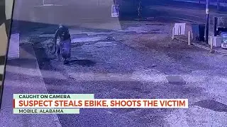 Mobile gas station shooting and e-bike theft caught on camera