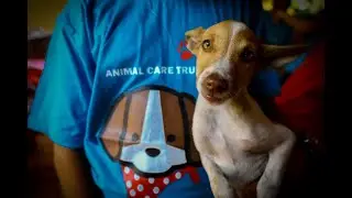 Animal Care Trust, Shakthinagar - Mangalore  :  Many souls, one Shelter!