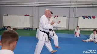 Seminar Rei Zenica instruktor Hanshi Enver Cakiqi 9.DAN 