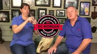 DC Morgan