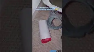 Keeping the litter box clean has never been this satisfying.